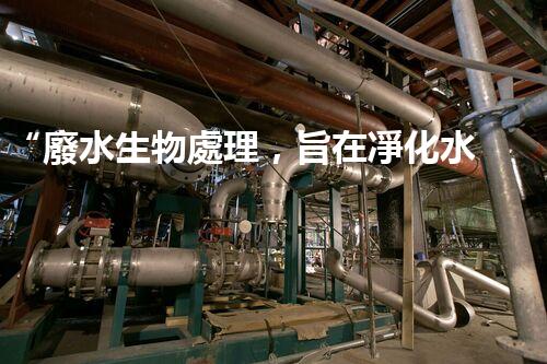 “廢水生物處理，旨在凈化水源，守護(hù)碧水藍(lán)天”